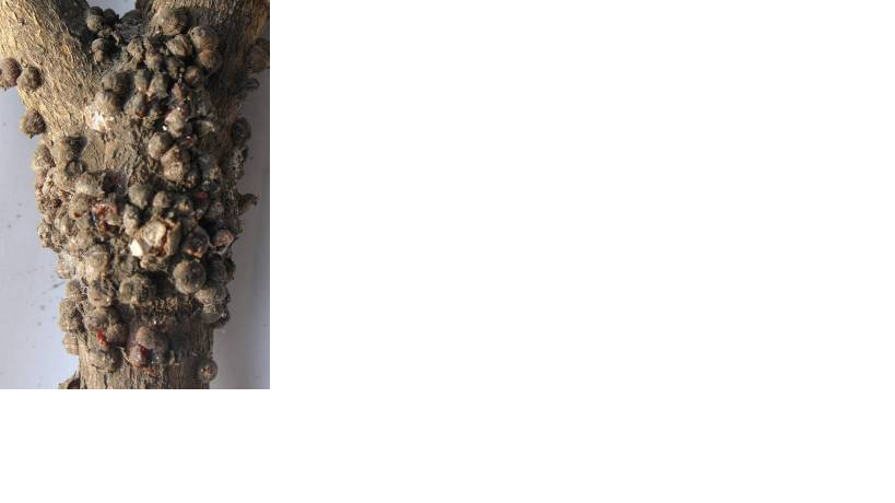 微信图片_20180507155445.png 微信图片_20180507155445.png