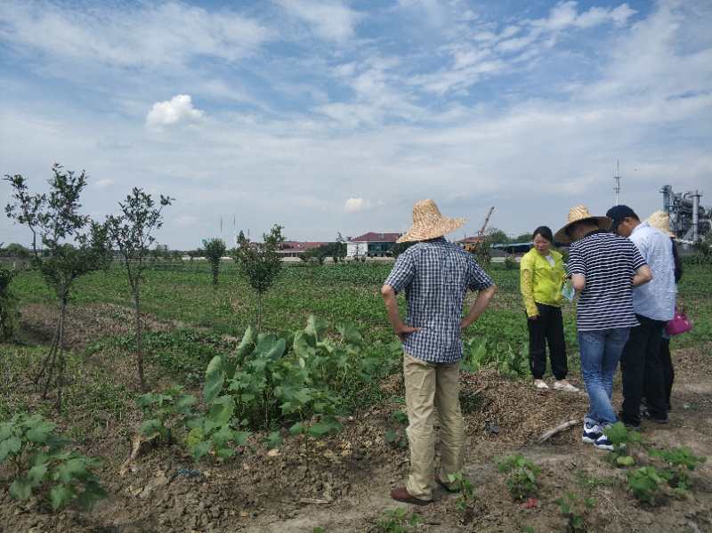 图2 林地违法专项行动检查.jpg 图2 林地违法专项行动检查.jpg