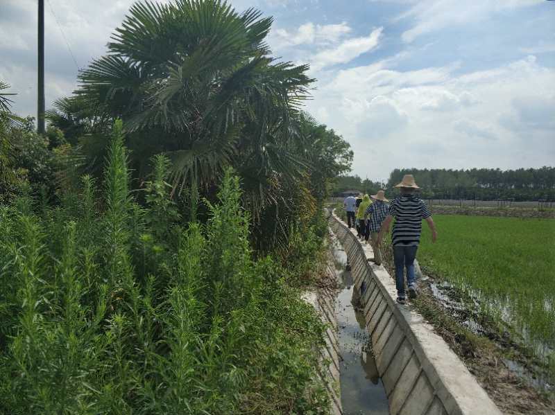 图3 林地违法专项行动检查.jpg 图3 林地违法专项行动检查.jpg