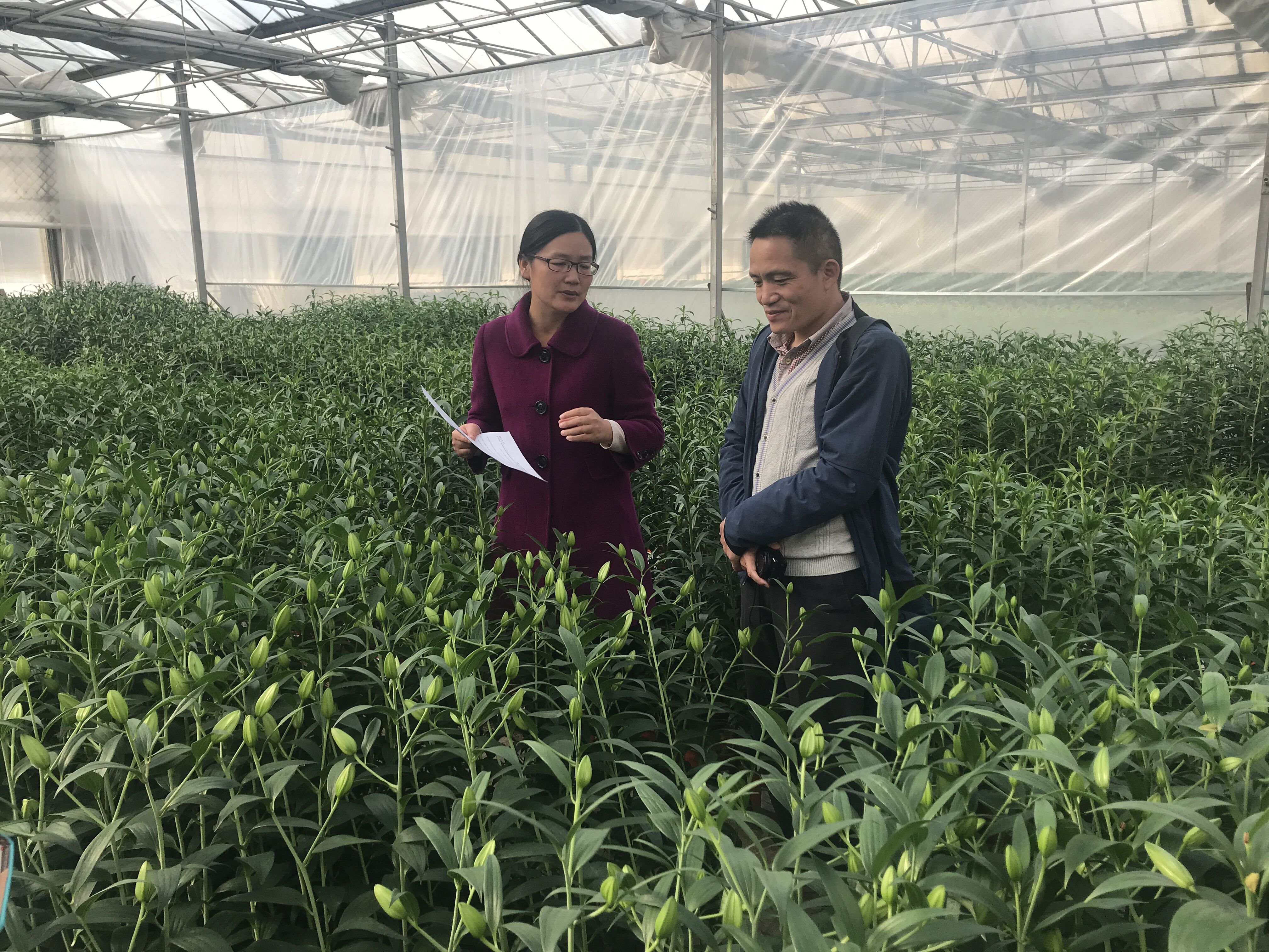 D:\信息报送\行业要闻\2017.4\上海市林业总站赴江苏连云港开展花卉产品质量监测3.jpg D:\信息报送\行业要闻\2017.4\上海市林业总站赴江苏连云港开展花卉产品质量监测3.jpg