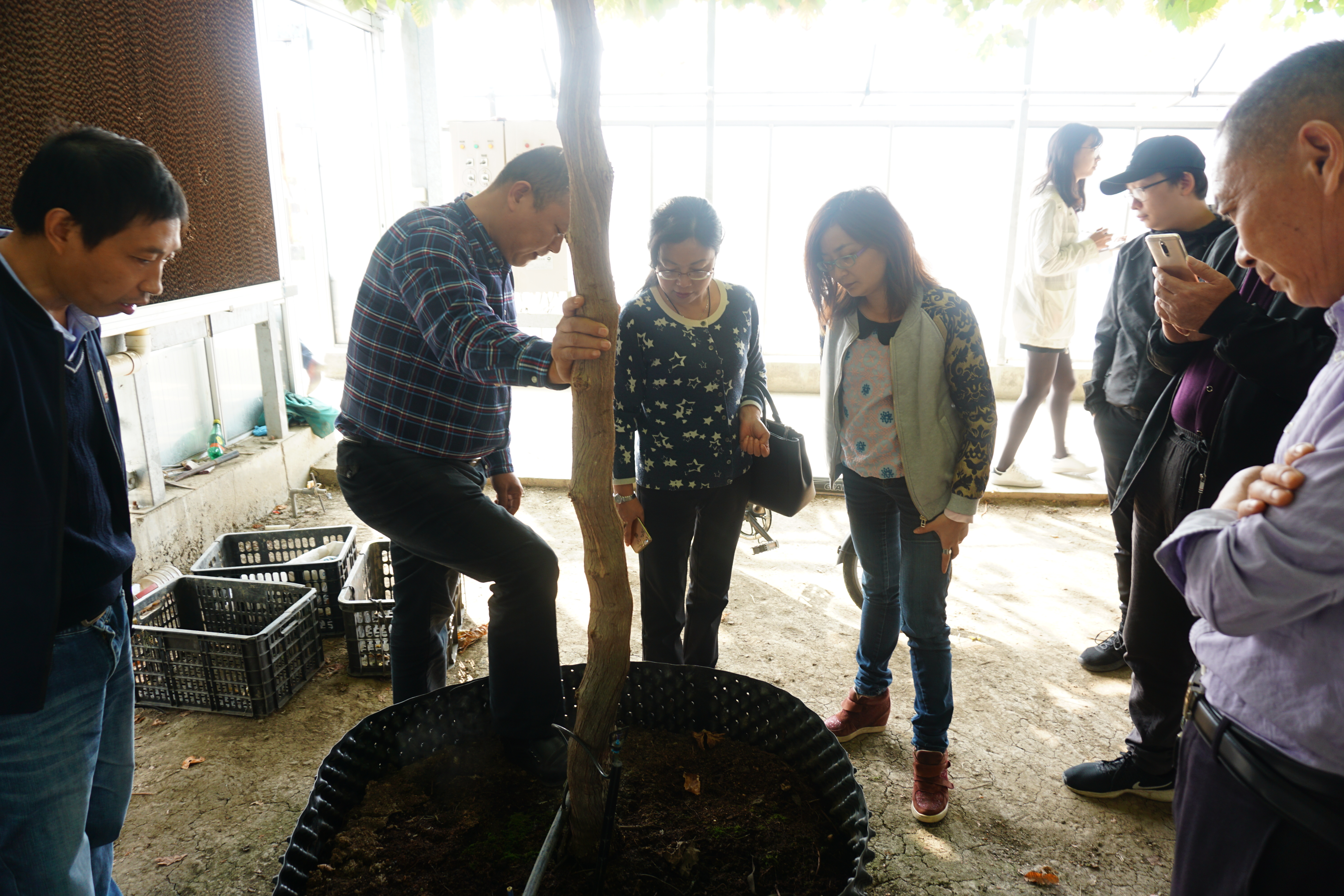D:\信息报送\行业要闻\2017.4\11月\站领导检查“全程容器育苗关键技术示范与应用“推广项目实施情况2.jpg D:\信息报送\行业要闻\2017.4\11月\站领导检查“全程容器育苗关键技术示范与应用“推广项目实施情况2.jpg