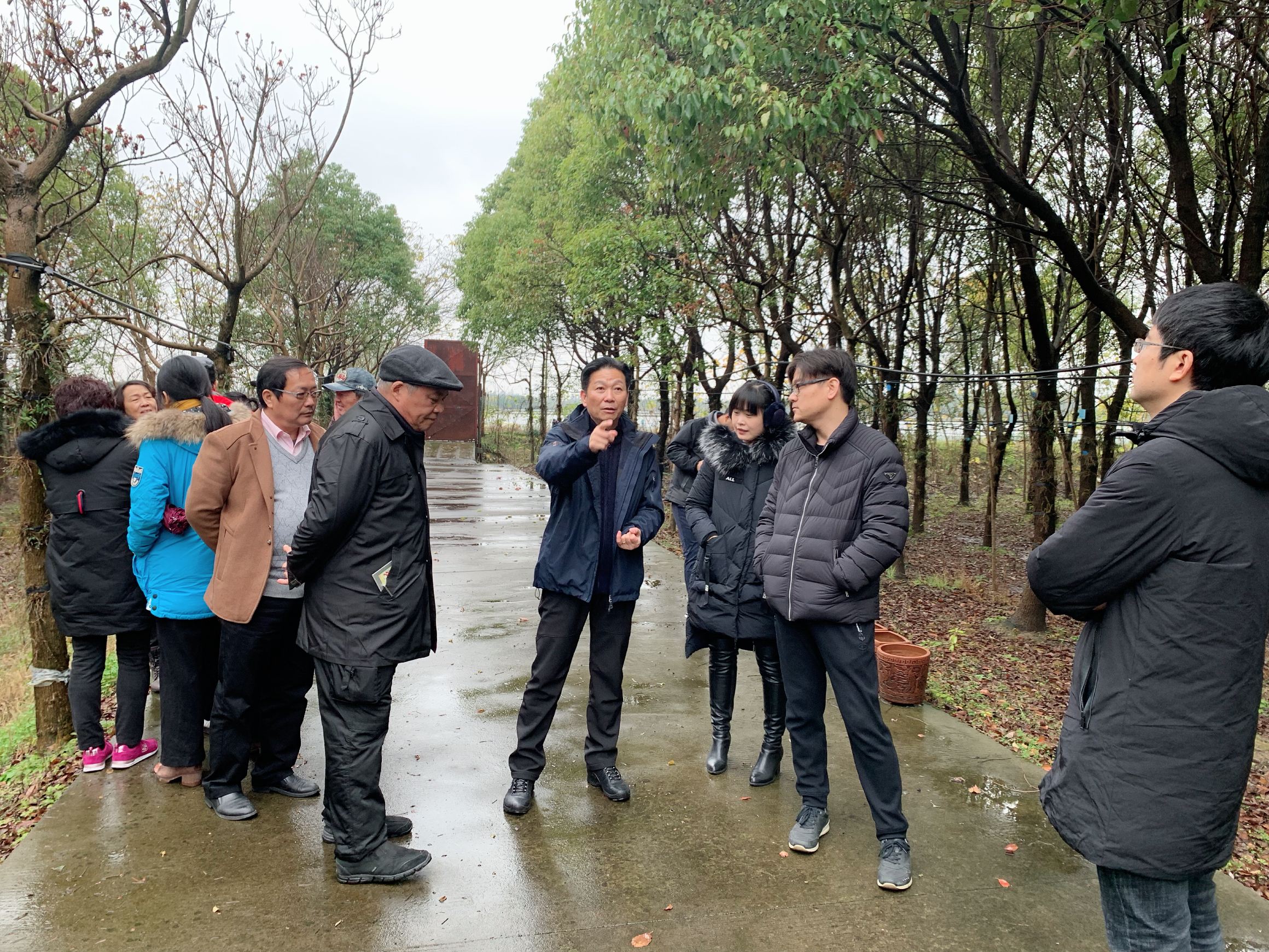 D:\信息报送\行业要闻\2017.4\12月\“仙草”种植增林地内涵——“铁皮石斛林下仿野生栽培技术研究与示范”项目通过中期检查1.jpg