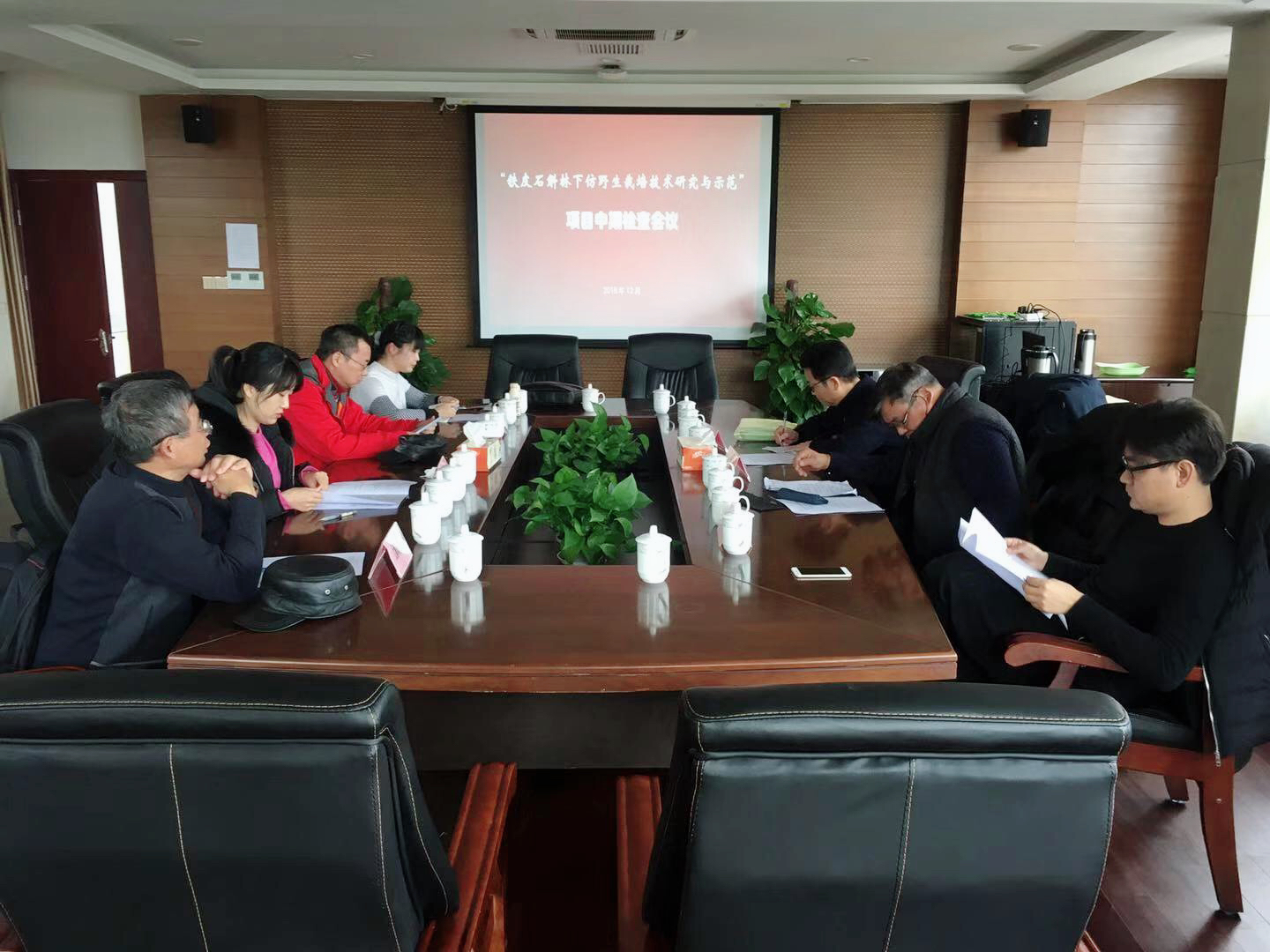 D:\信息报送\行业要闻\2017.4\12月\“仙草”种植增林地内涵——“铁皮石斛林下仿野生栽培技术研究与示范”项目通过中期检查2.jpg D:\信息报送\行业要闻\2017.4\12月\“仙草”种植增林地内涵——“铁皮石斛林下仿野生栽培技术研究与示范”项目通过中期检查2.jpg