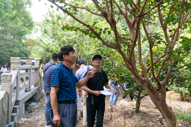 上海林业有害生物测报员奉贤“论剑”2.jpg 上海林业有害生物测报员奉贤“论剑”2.jpg