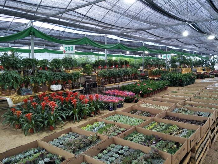 花卉展示大棚.jpg