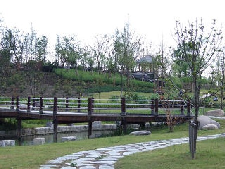 s_4877.jpg