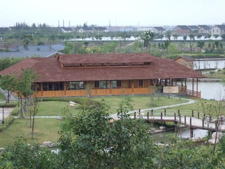 s_4882.jpg