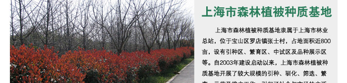 adver2_01.jpg