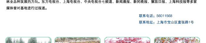 adver2_03.jpg