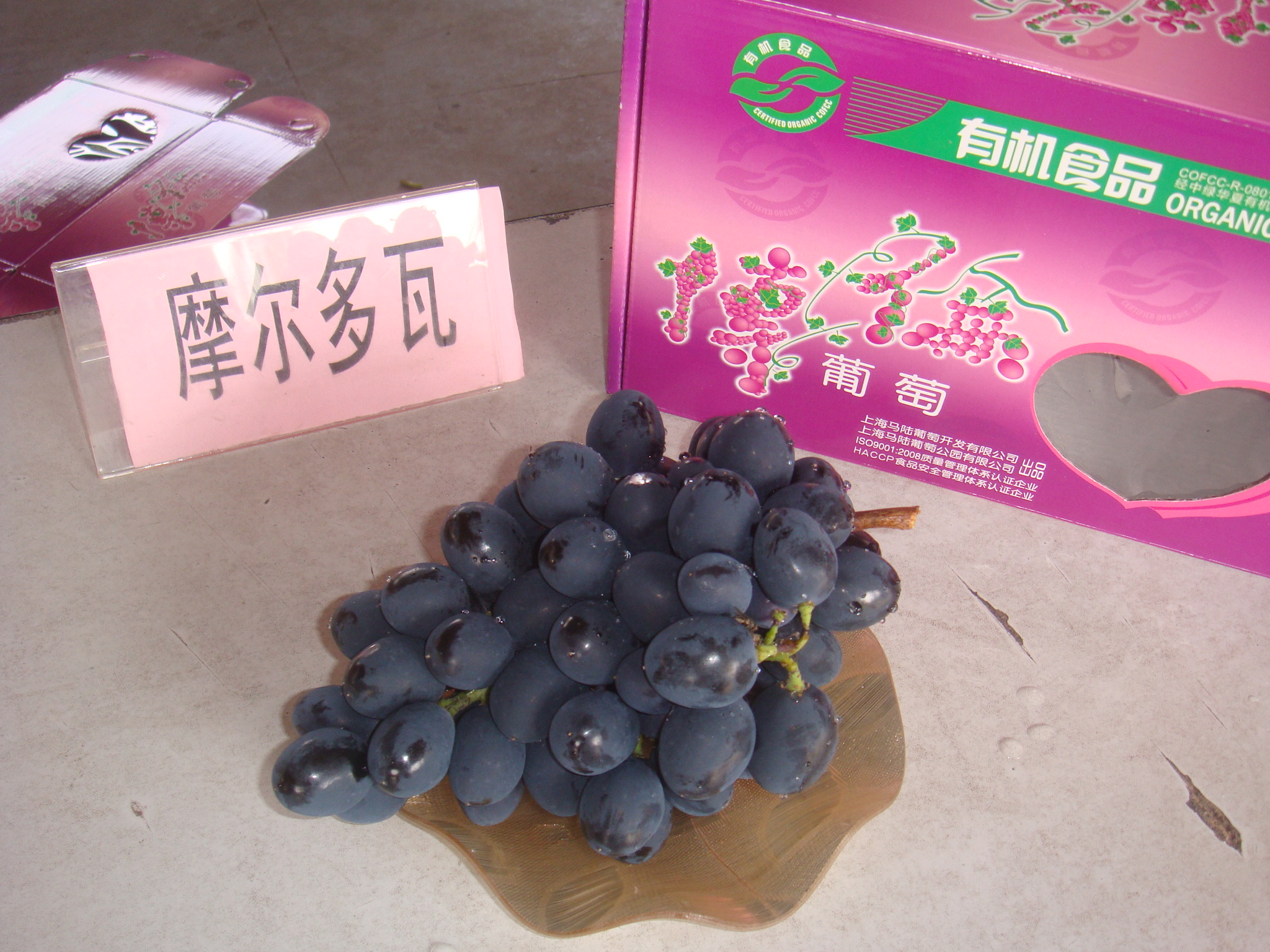 DSC03889.JPG