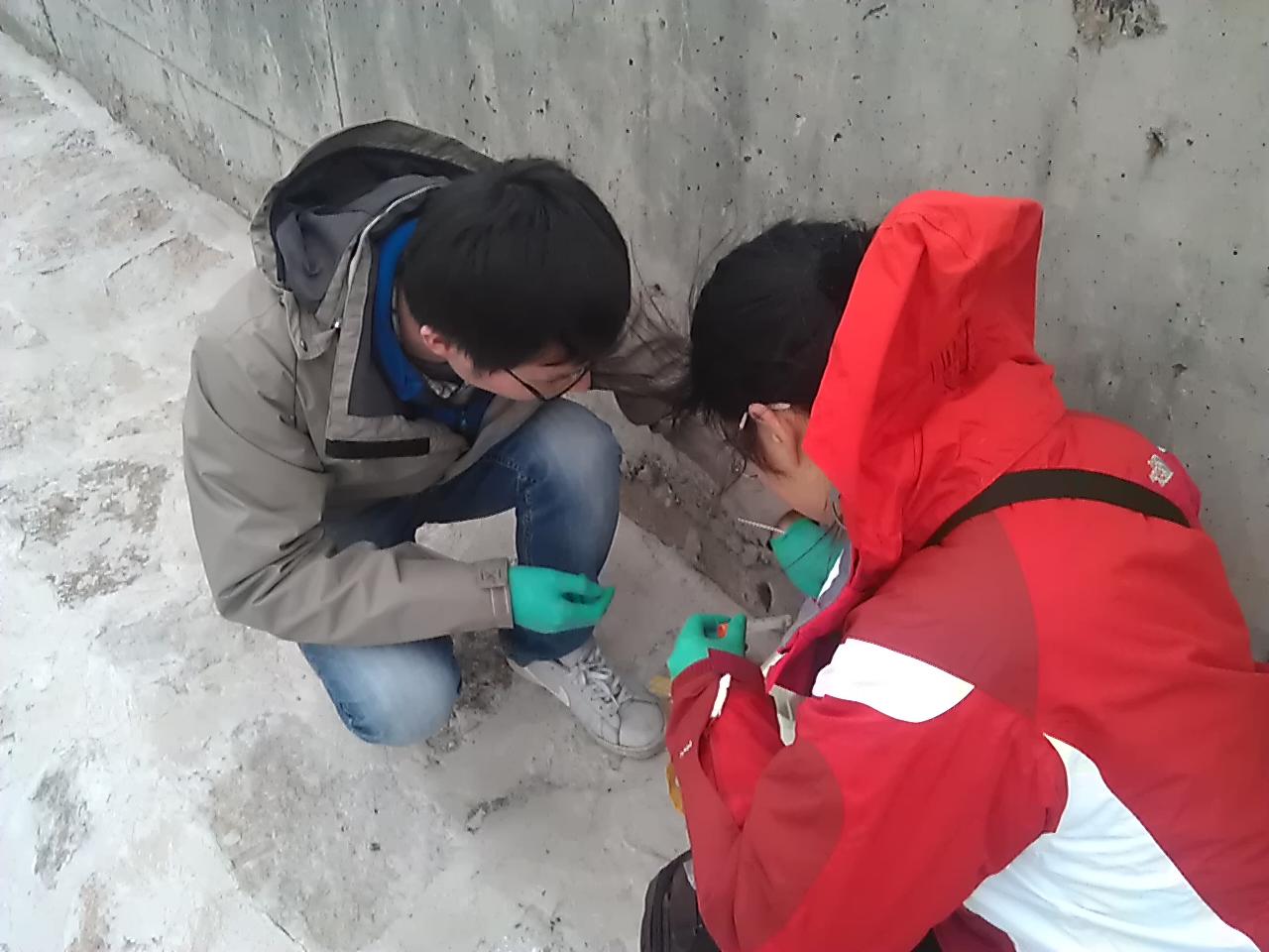 IMAG0142.jpg