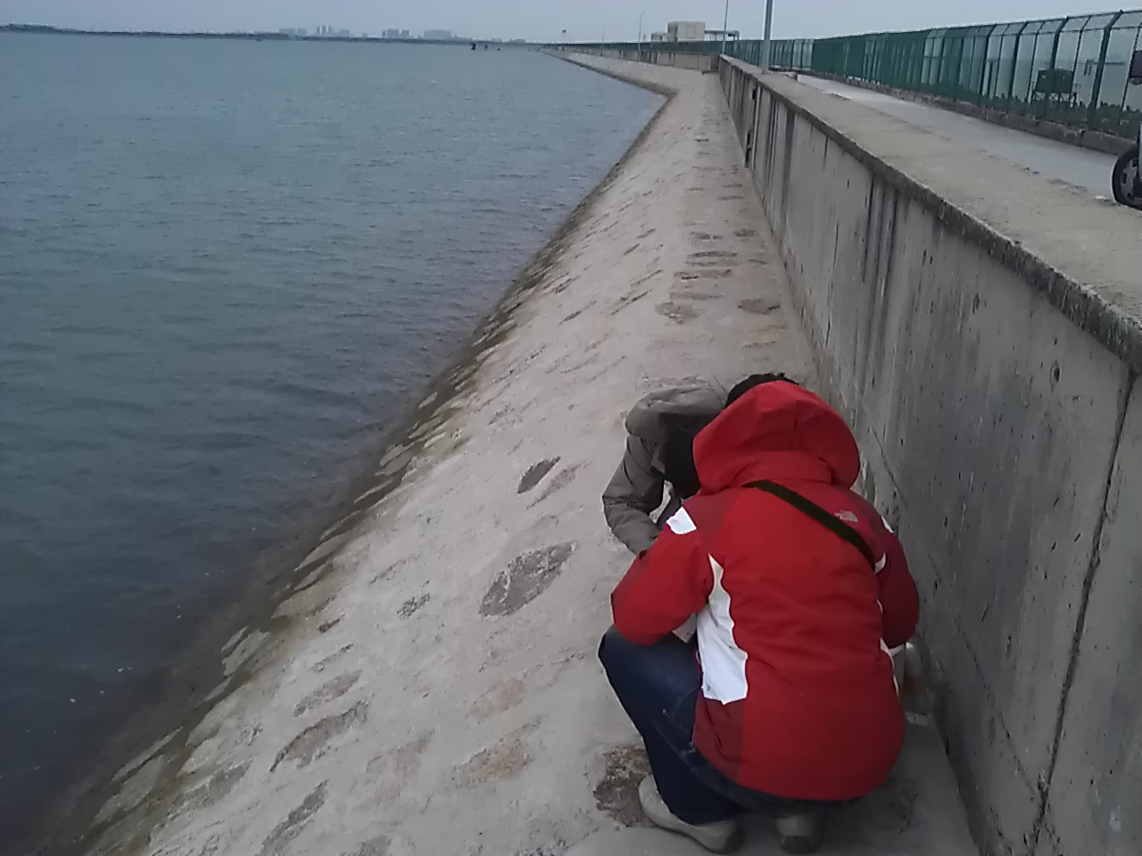 IMAG0145.jpg