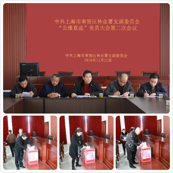 公推直选第二次会议2.jpg