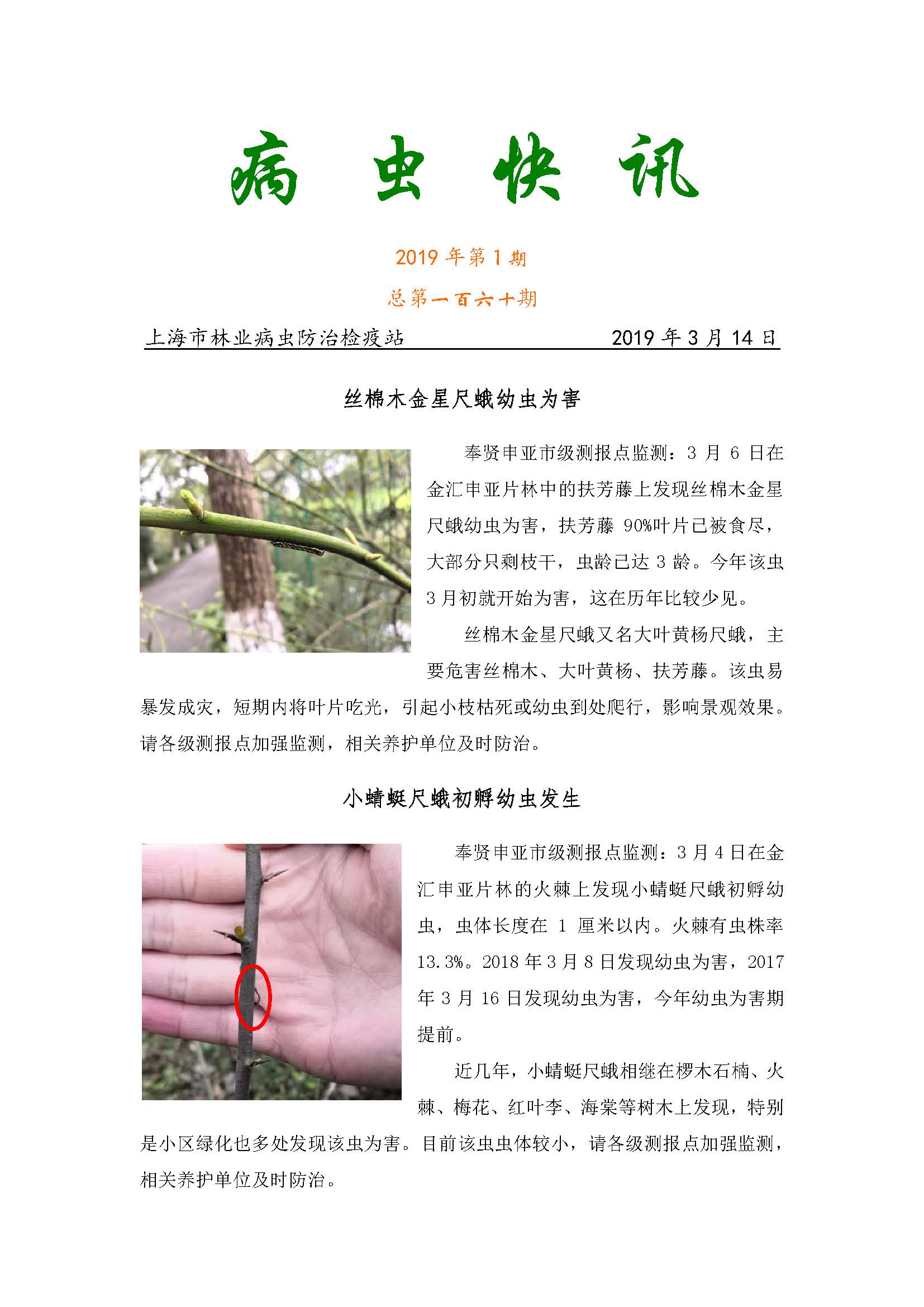 2019年第1期_页面_1.jpg