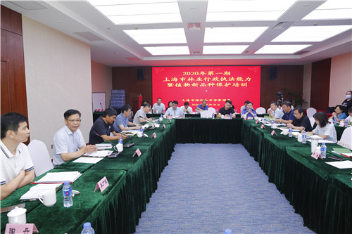 林政稽查2_副本.jpg 林政稽查2_副本.jpg
