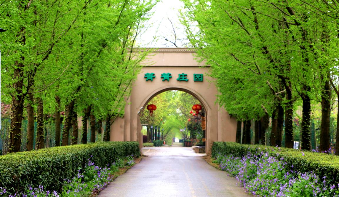 X:\全站文档\2F科技信息科\王子铭\7.林业科技网文章备存\1\汇总\箐箐庄园森林康养基地\图片1.png X:\全站文档\2F科技信息科\王子铭\7.林业科技网文章备存\1\汇总\箐箐庄园森林康养基地\图片1.png