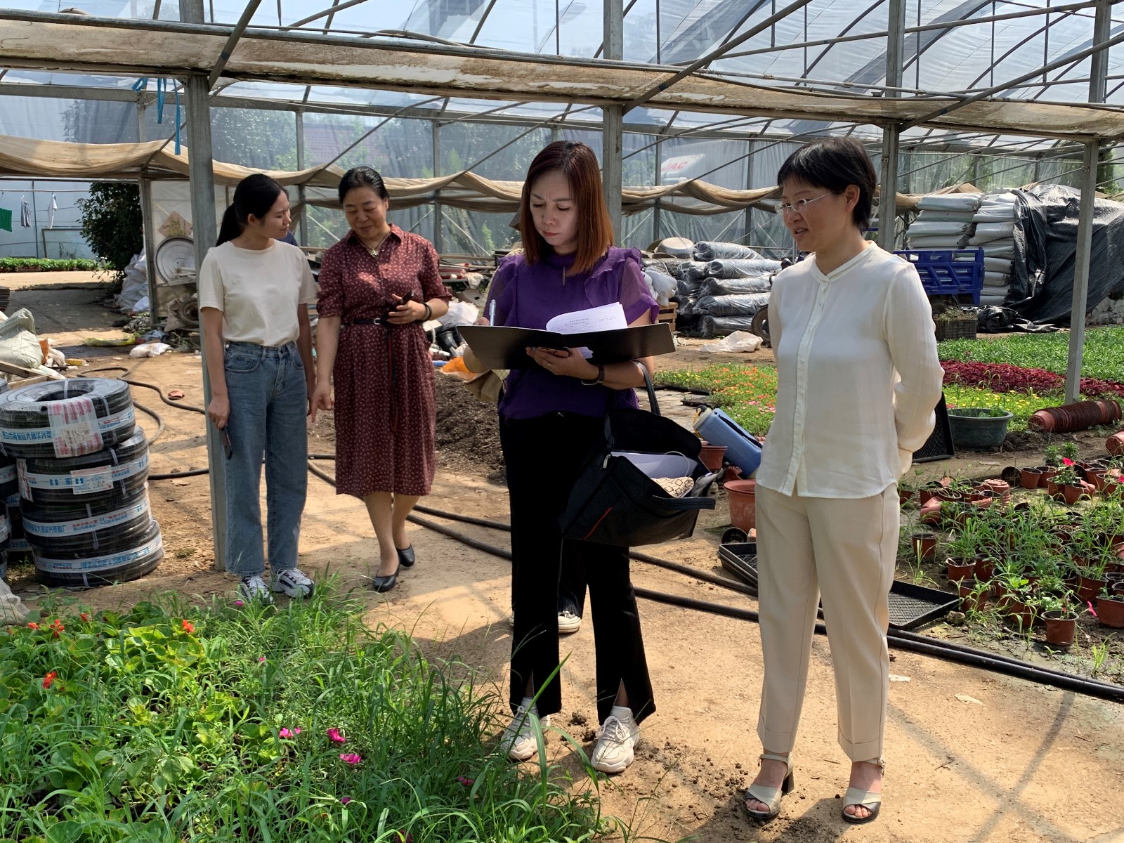 国家林草局花卉产品质量检验检测中心(上海)赴江苏开展花卉监测2.jpg 国家林草局花卉产品质量检验检测中心(上海)赴江苏开展花卉监测2.jpg