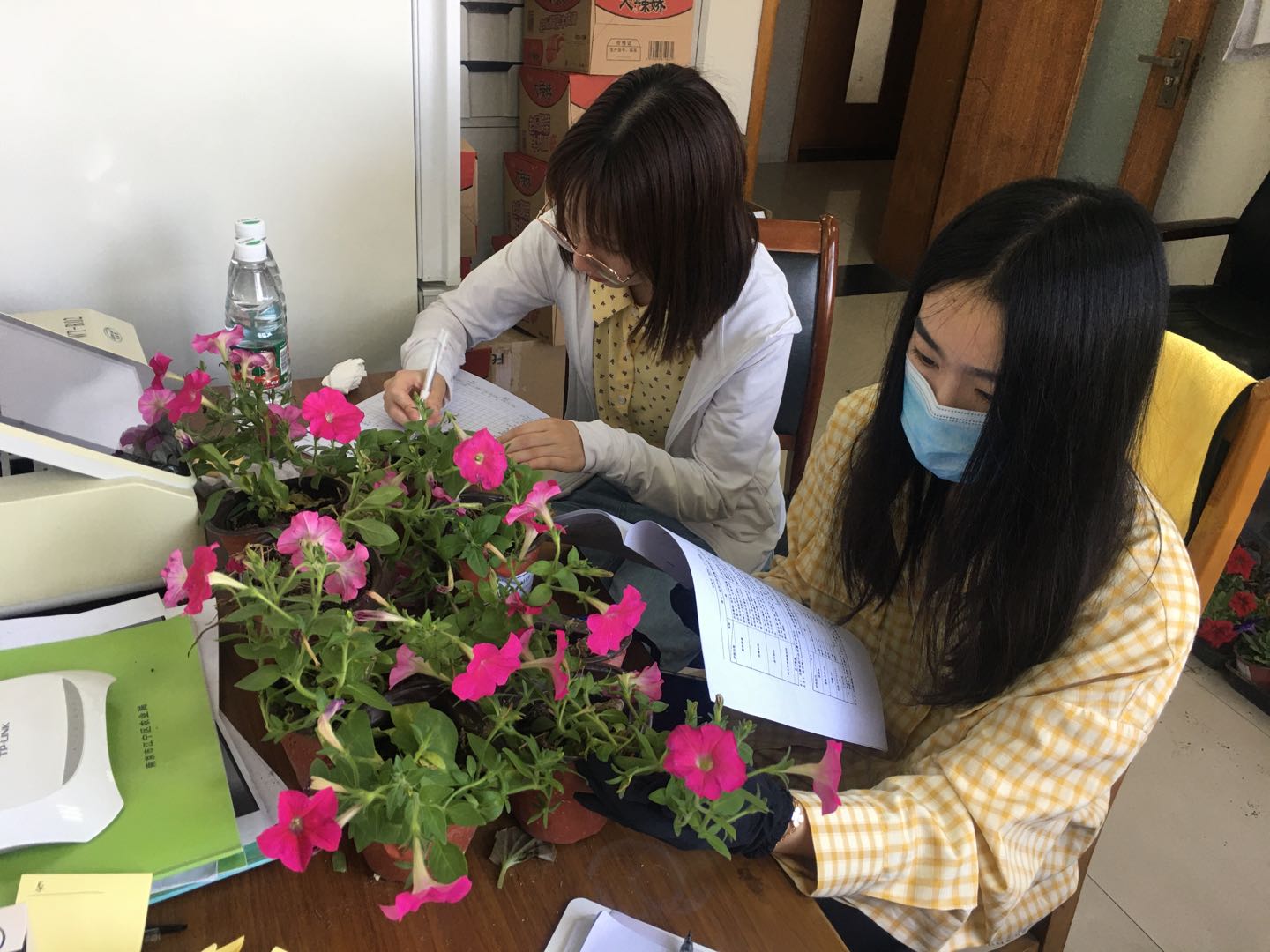 国家林草局花卉产品质量检验检测中心(上海)赴江苏开展花卉监测4.jpg 国家林草局花卉产品质量检验检测中心(上海)赴江苏开展花卉监测4.jpg