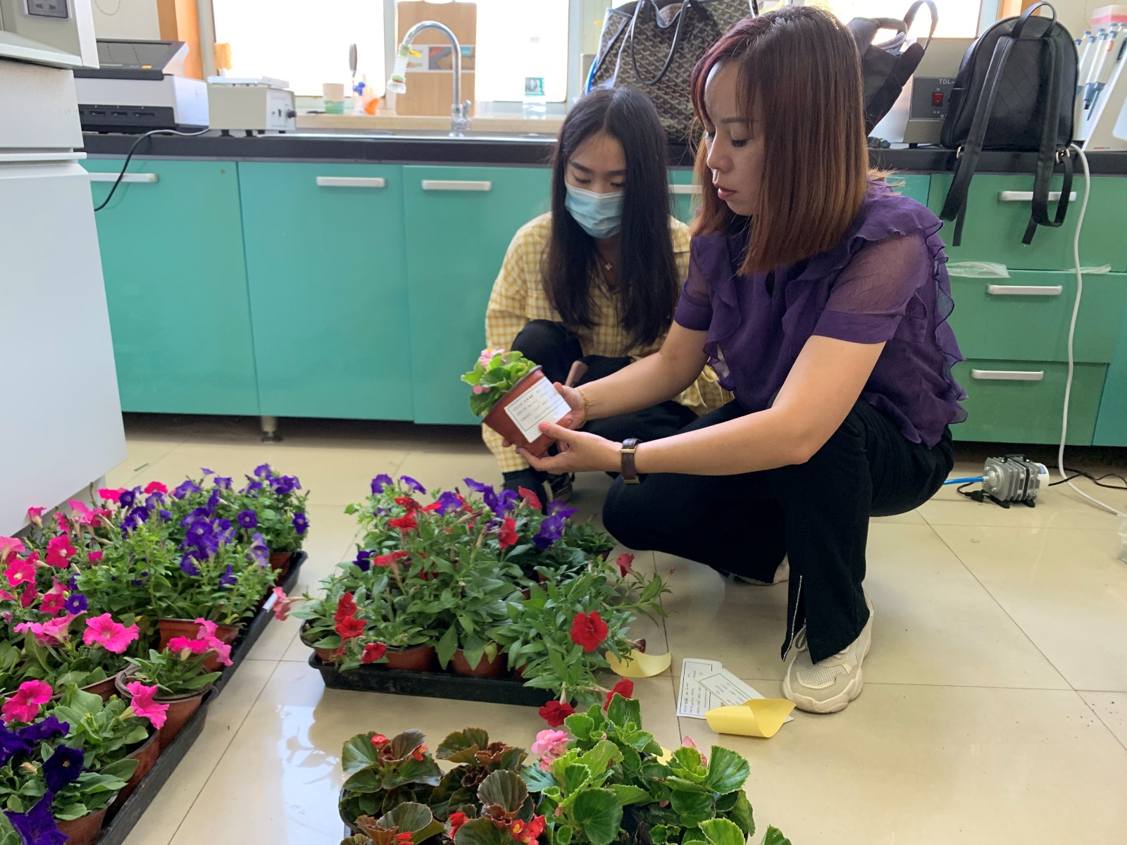 国家林草局花卉产品质量检验检测中心(上海)赴江苏开展花卉监测3.jpg 国家林草局花卉产品质量检验检测中心(上海)赴江苏开展花卉监测3.jpg