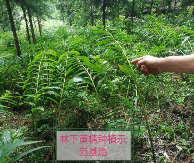 图片4.jpg 图片4.jpg