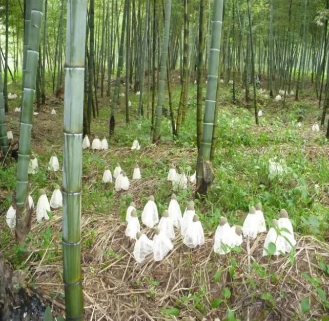 图片6.jpg 图片6.jpg