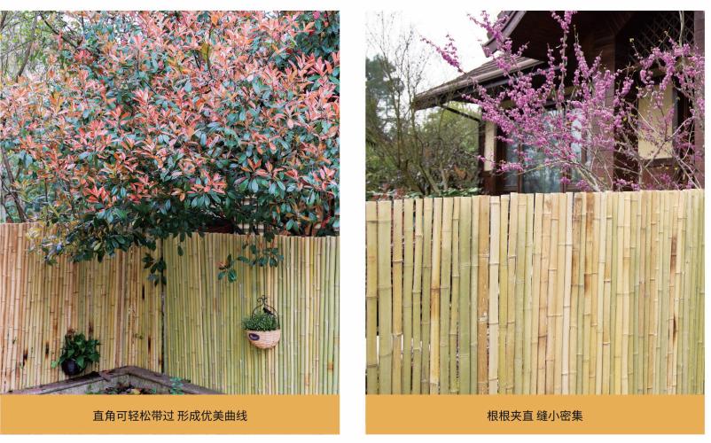 图片7.jpg 图片7.jpg