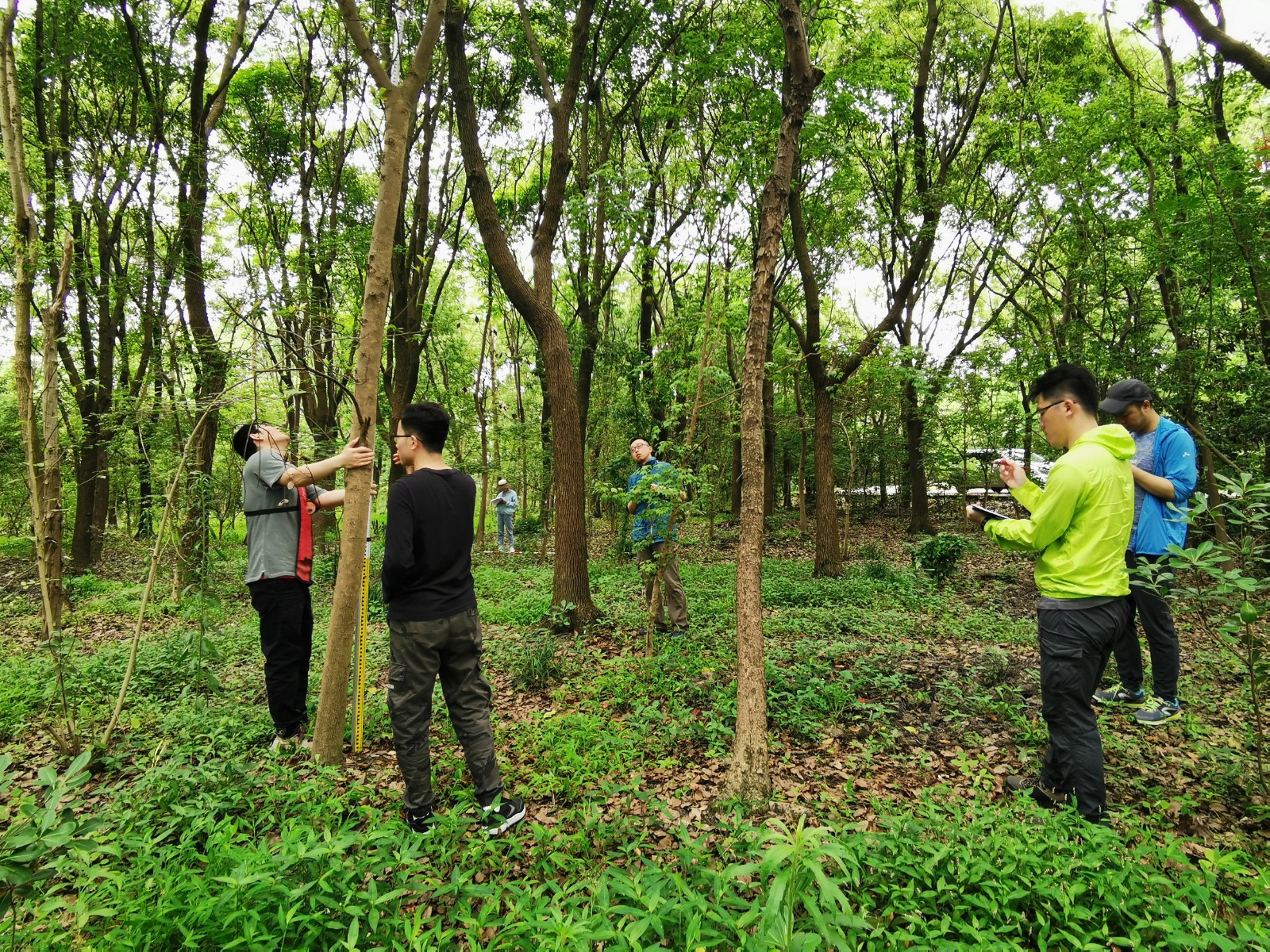 上海城市森林生态系统长期定位观测样地第三次调查工作全面完成2.jpg
