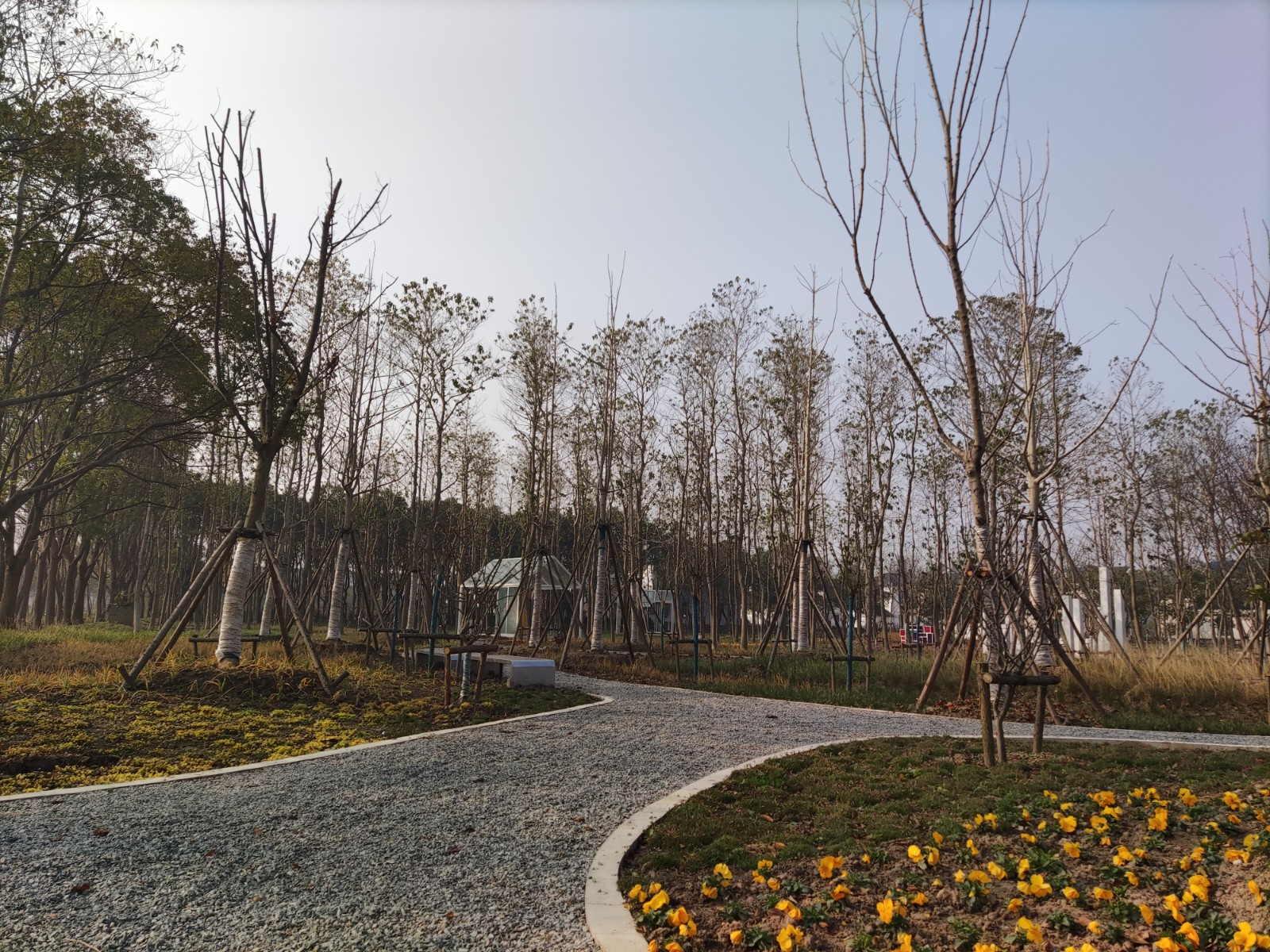 市林业总站赴崇明区调研指导开放休闲林地建设2.jpg
