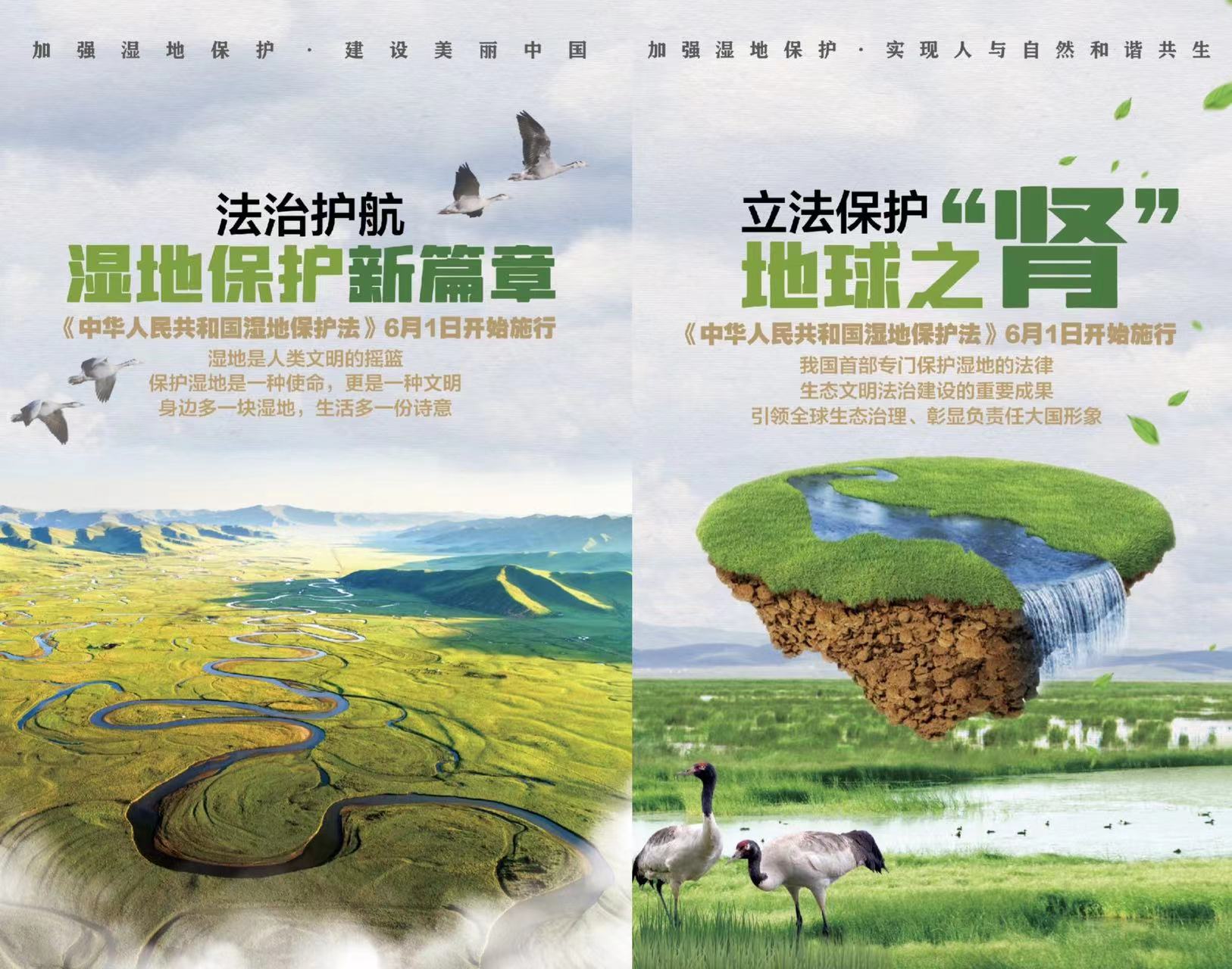 市林业总站开展《中华人民共和国湿地保护法》宣传工作1.jpg