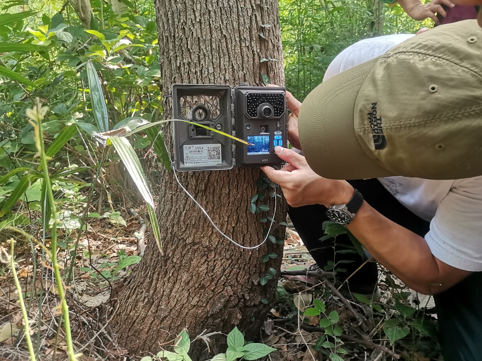 市林业总站将浏岛野生动物重要栖息地纳入上海野生兽类监测范围