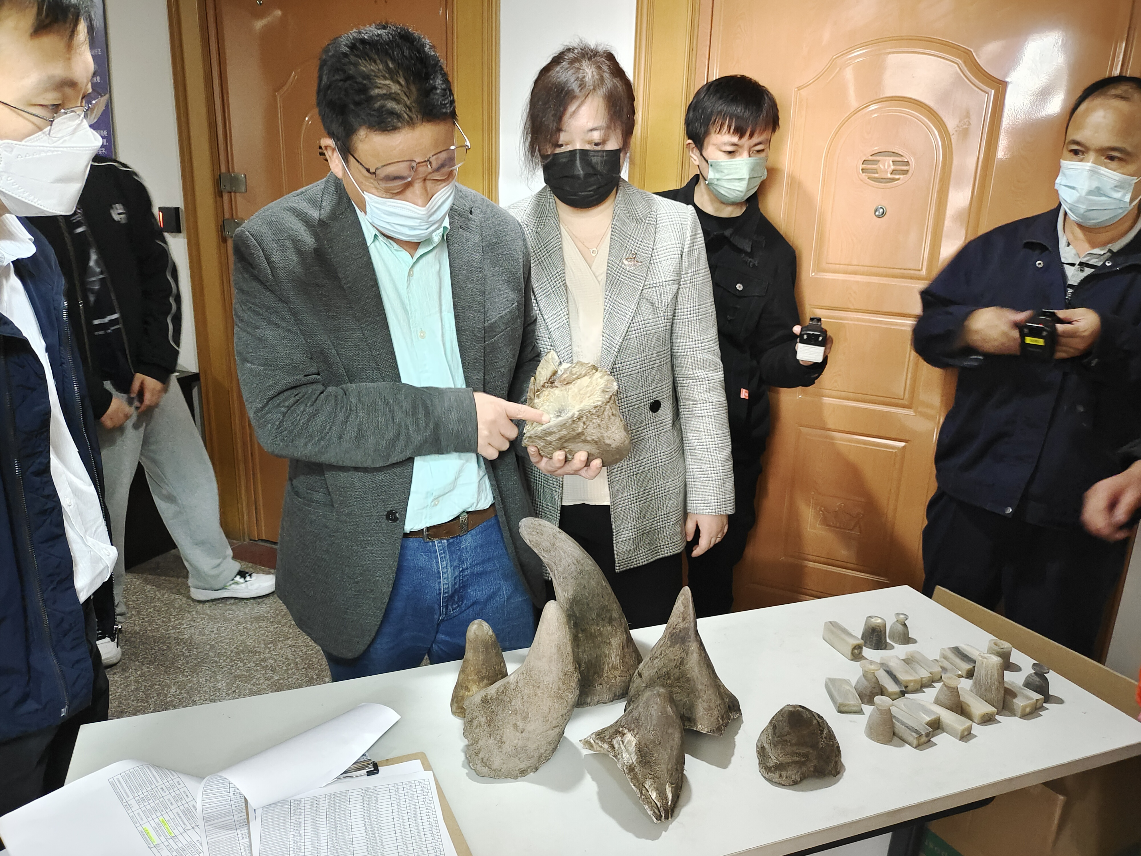 市林业总站接收海关罚没野生动物制品1.jpg 市林业总站接收海关罚没野生动物制品1.jpg