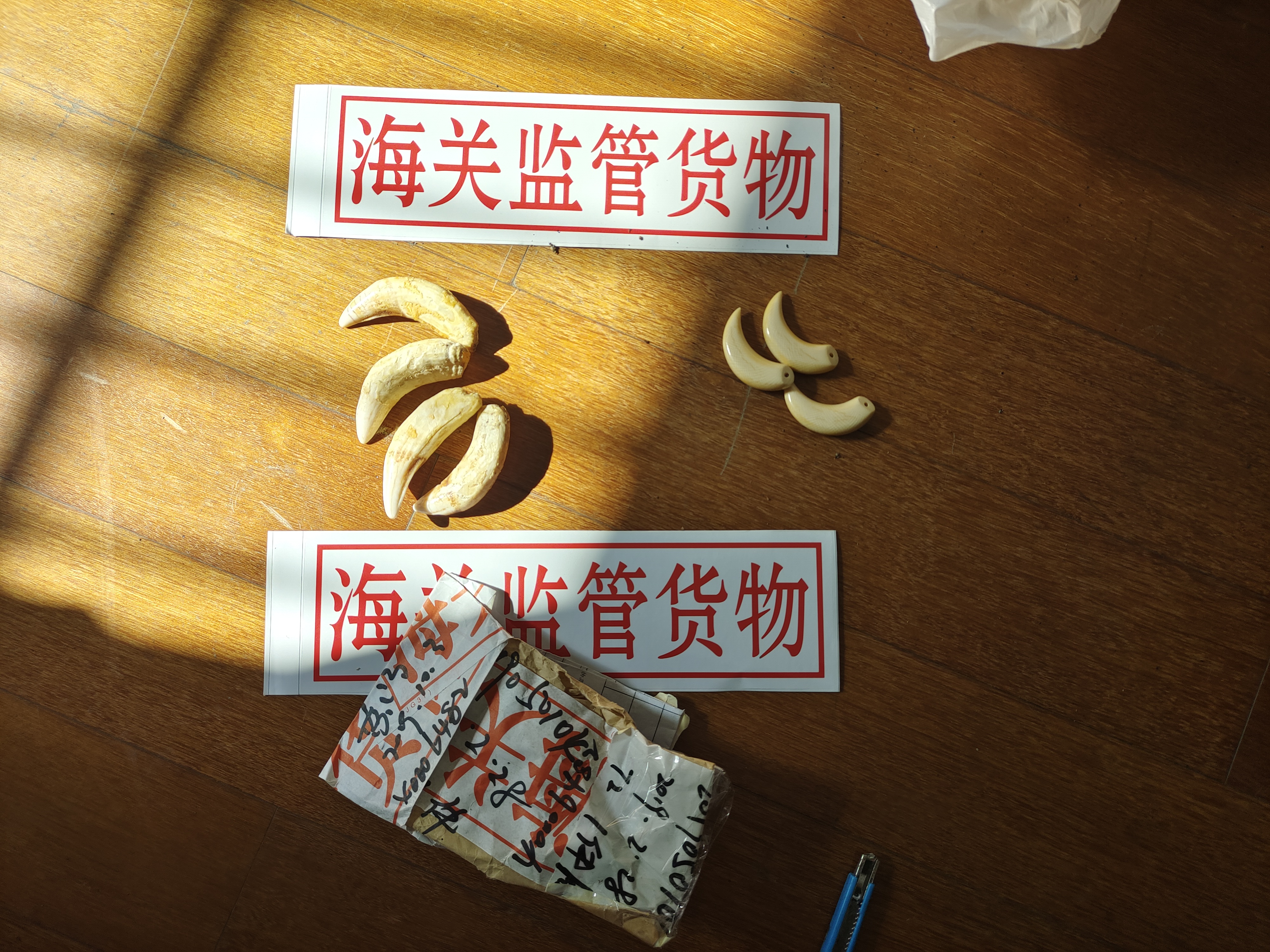 市林业总站接收海关罚没野生动物制品5.jpg 市林业总站接收海关罚没野生动物制品5.jpg