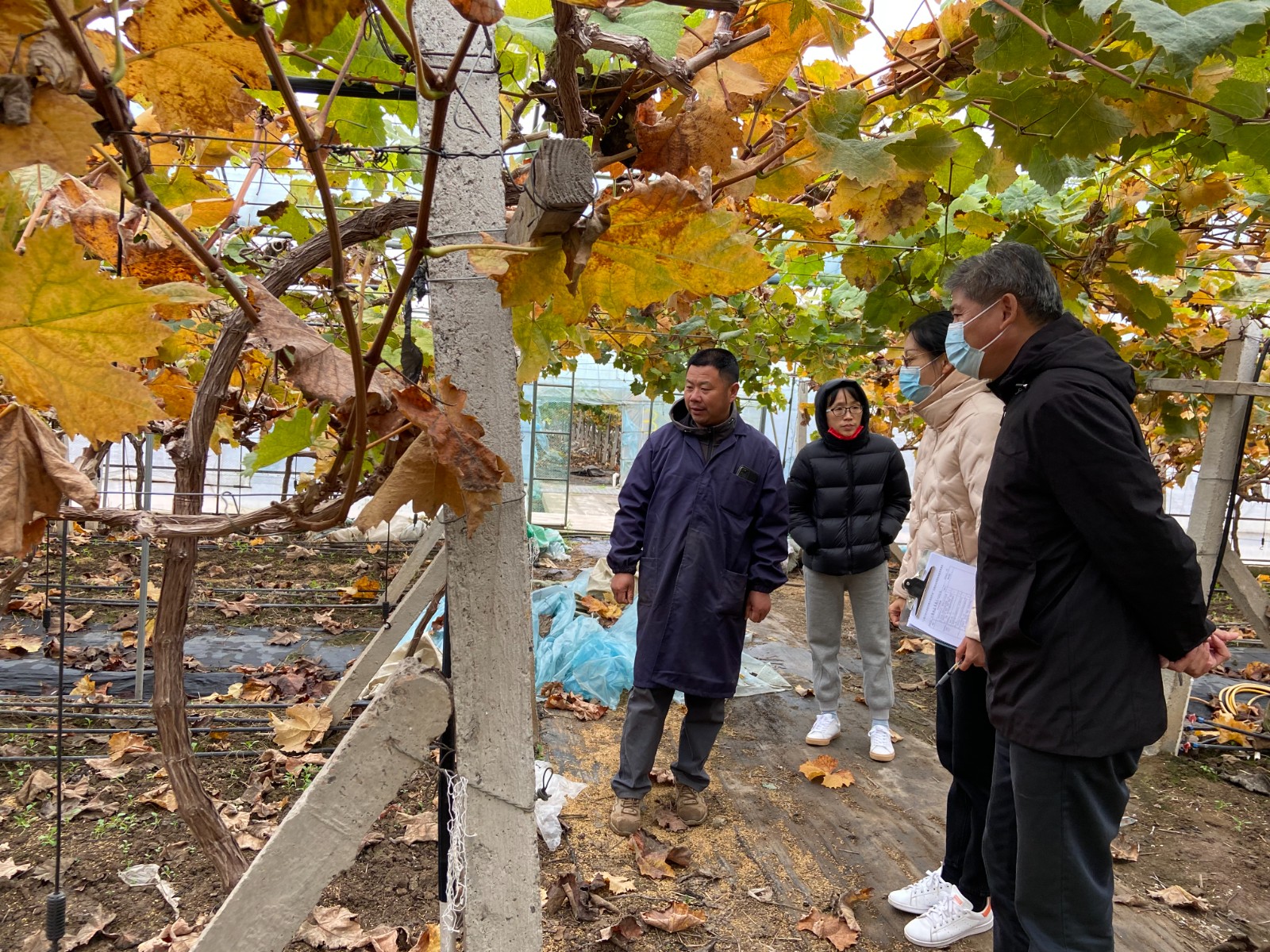 2022年“安全优质信得过果园”产后现场检查工作圆满完成2.jpg