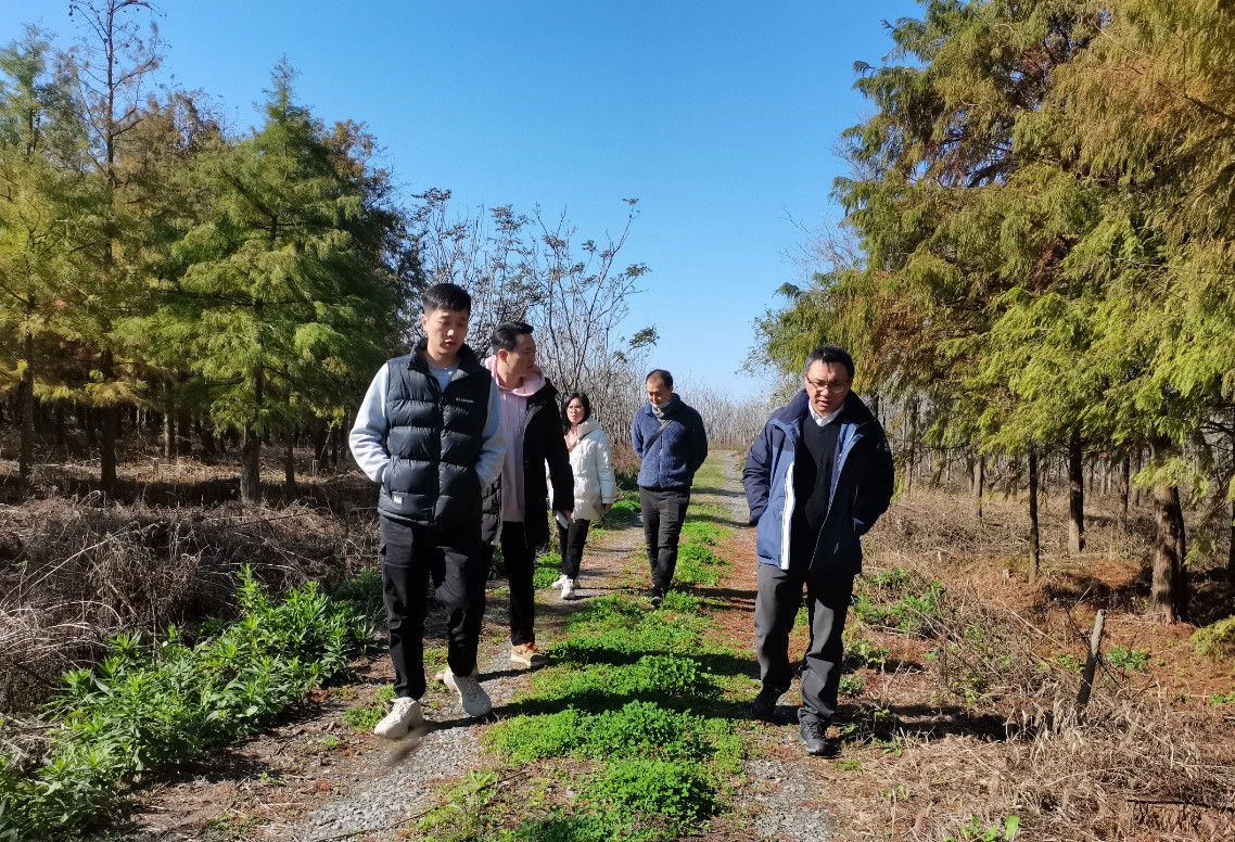 市林业总站赴横沙岛开展公益林管理工作调研指导4.jpg 市林业总站赴横沙岛开展公益林管理工作调研指导4.jpg