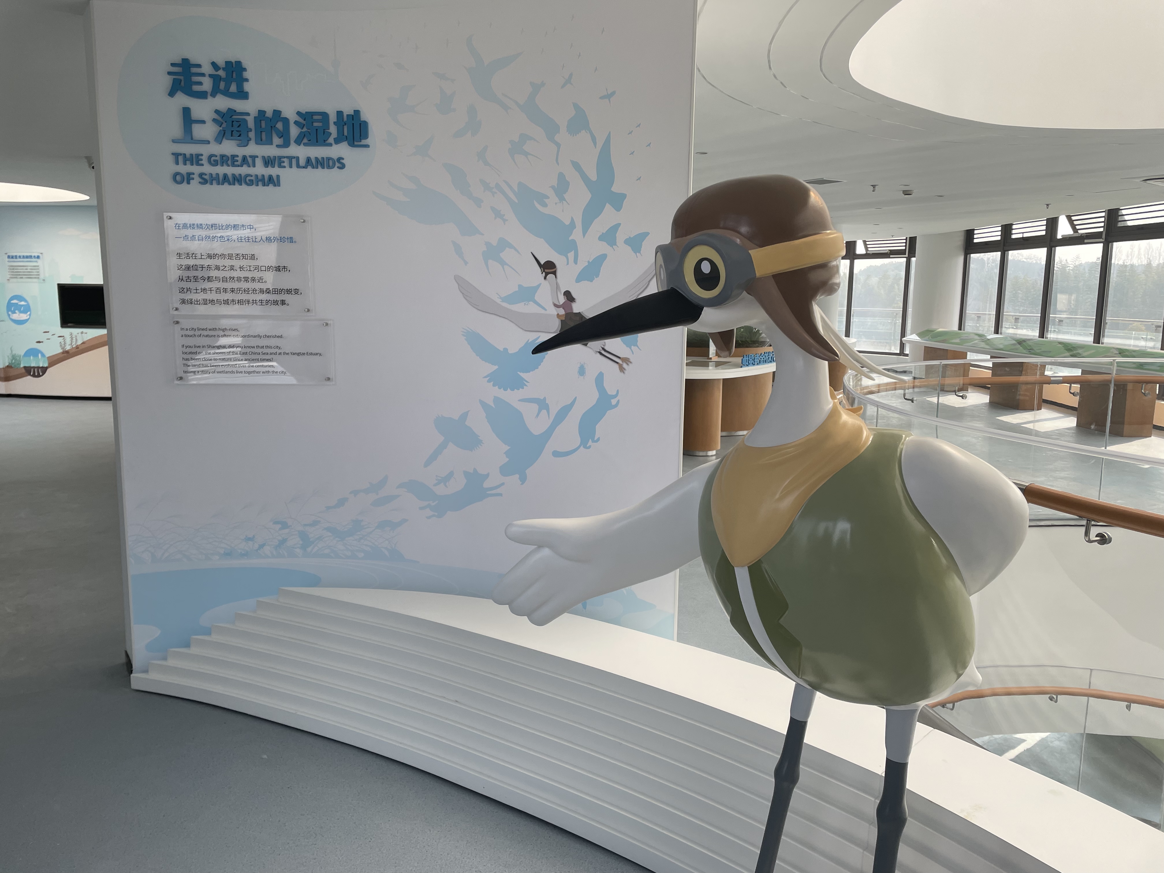 上海市野生动物栖息地飞行检查圆满完成2.jpg