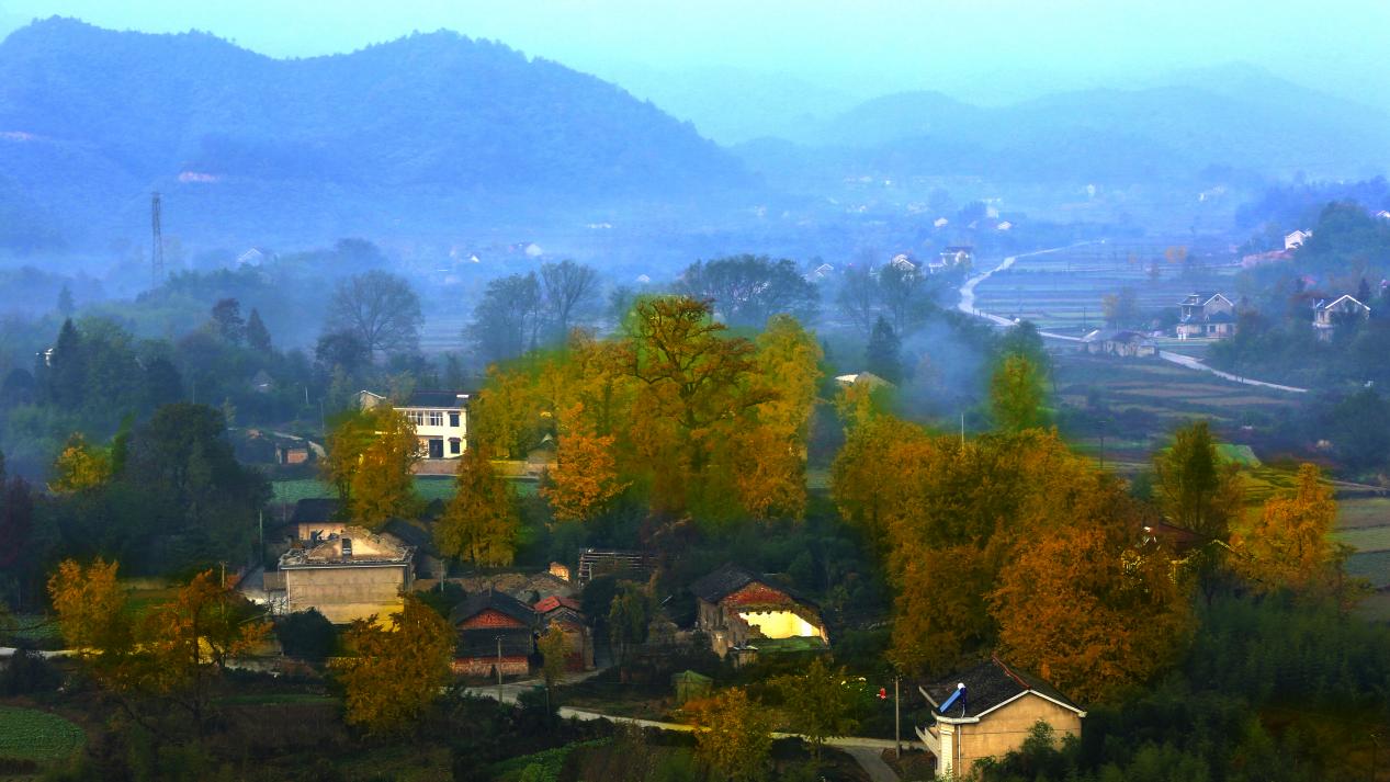 图片1.jpg 图片1.jpg