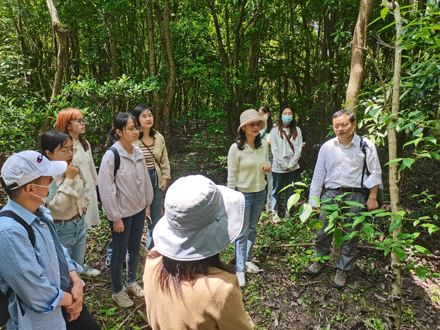 “实地教学+学术讲座”市林业总站森林生态学科组首个学术交流活动在上海海湾国家森林公园召开1.png