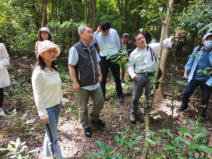 “实地教学+学术讲座”市林业总站森林生态学科组首个学术交流活动在上海海湾国家森林公园召开3.png