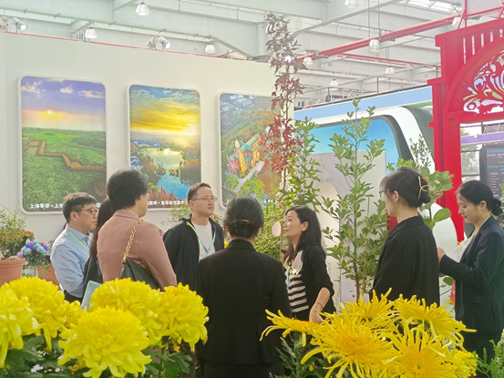 上海参展2023中国·合肥苗木花卉交易大会2.png