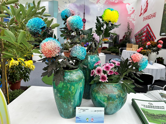 上海参展2023中国·合肥苗木花卉交易大会5.png