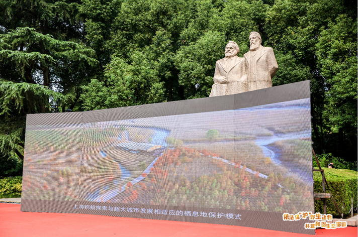 “依法保‘沪’野生动物 共建和谐生态家园”——2023年上海市“保护野生动物宣传月”活动开启2.png