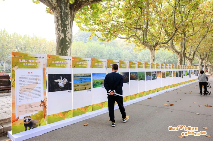 “依法保‘沪’野生动物 共建和谐生态家园”——2023年上海市“保护野生动物宣传月”活动开启7.png