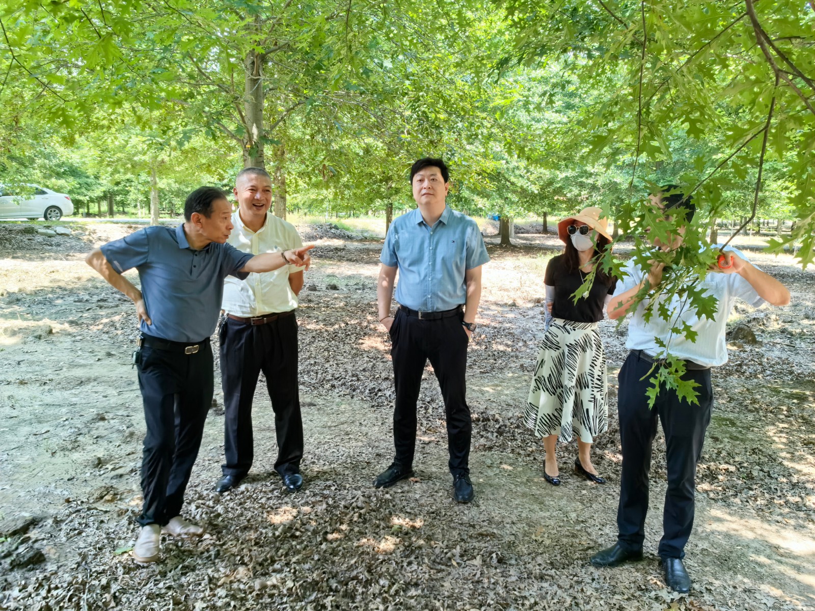 领导视察纳塔栎.jpg 领导视察纳塔栎.jpg
