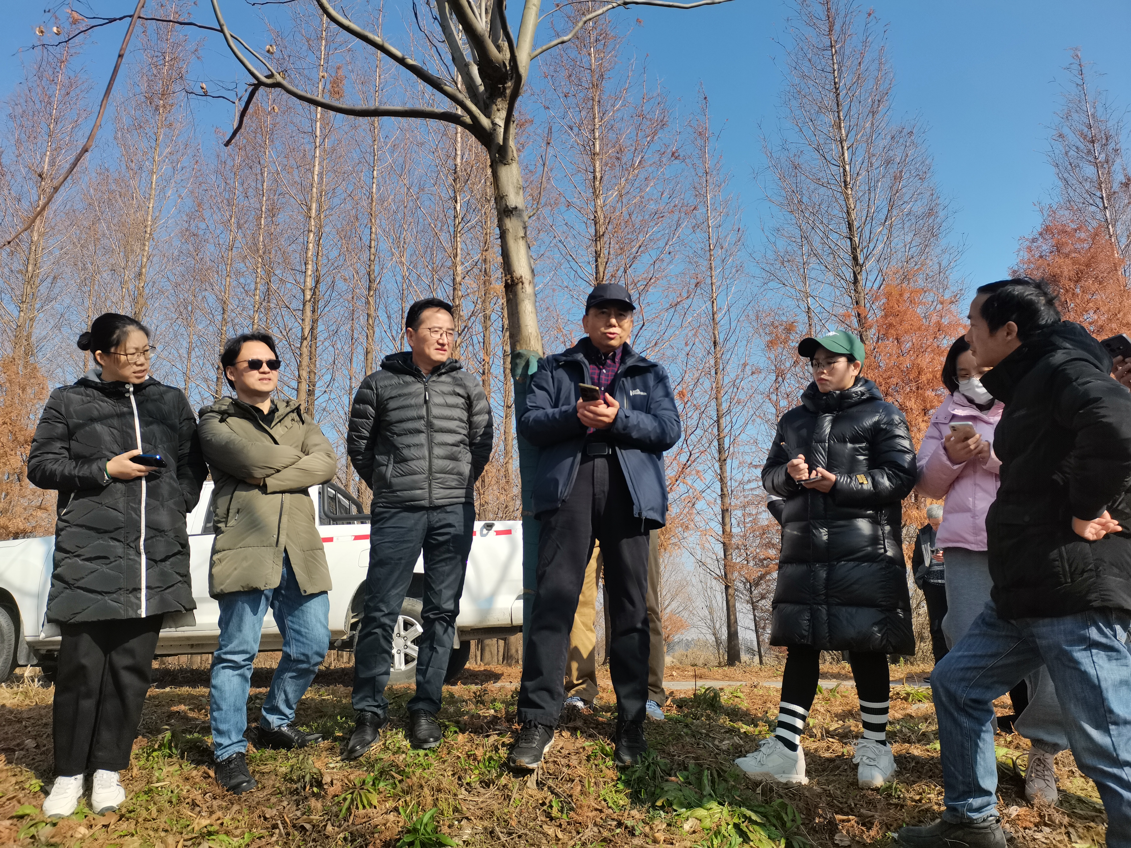 市林业总站携手专家 为上海森林质量提升精准施策1.jpg 市林业总站携手专家 为上海森林质量提升精准施策1.jpg