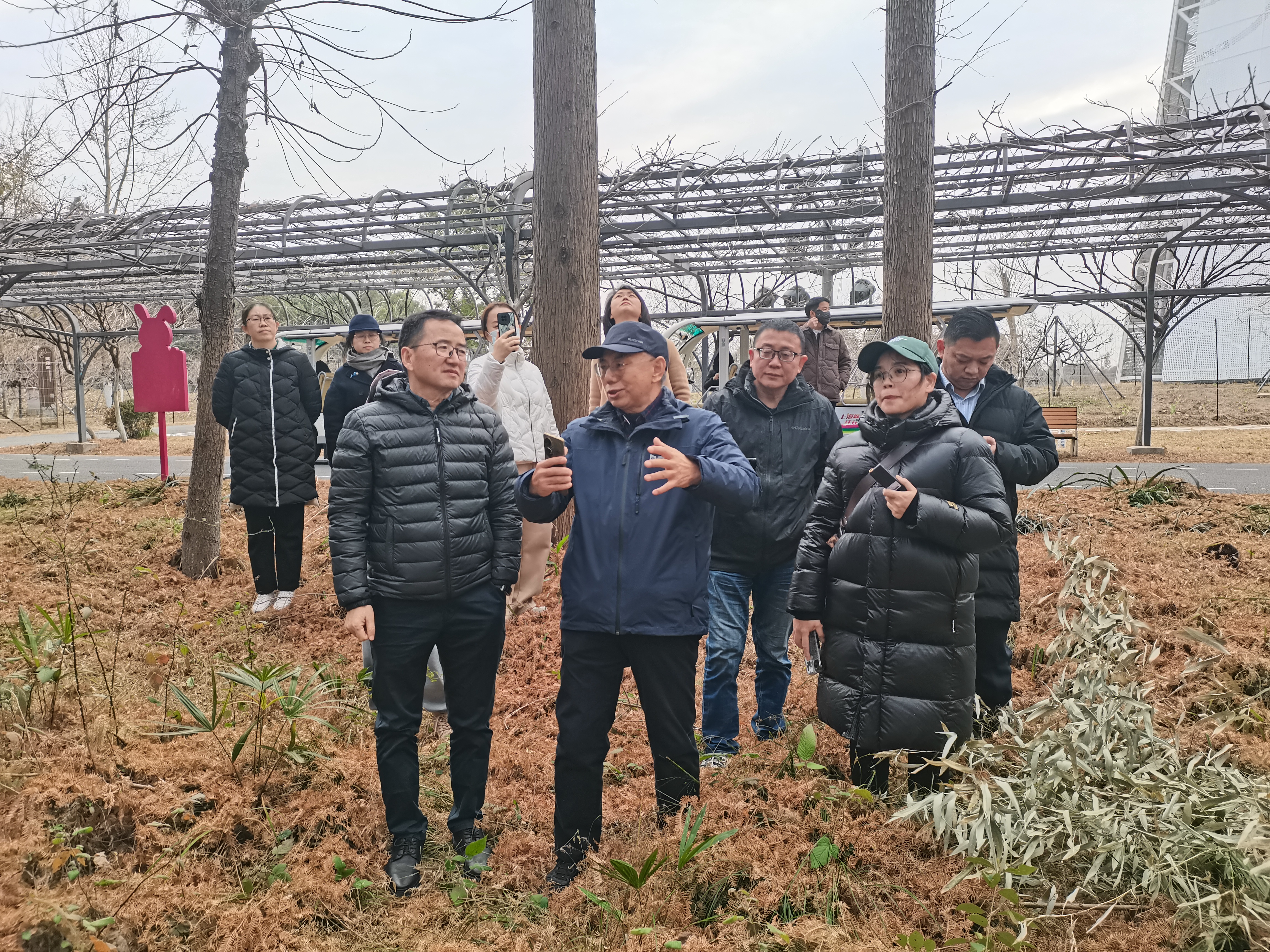 市林业总站携手专家 为上海森林质量提升精准施策2.jpg 市林业总站携手专家 为上海森林质量提升精准施策2.jpg