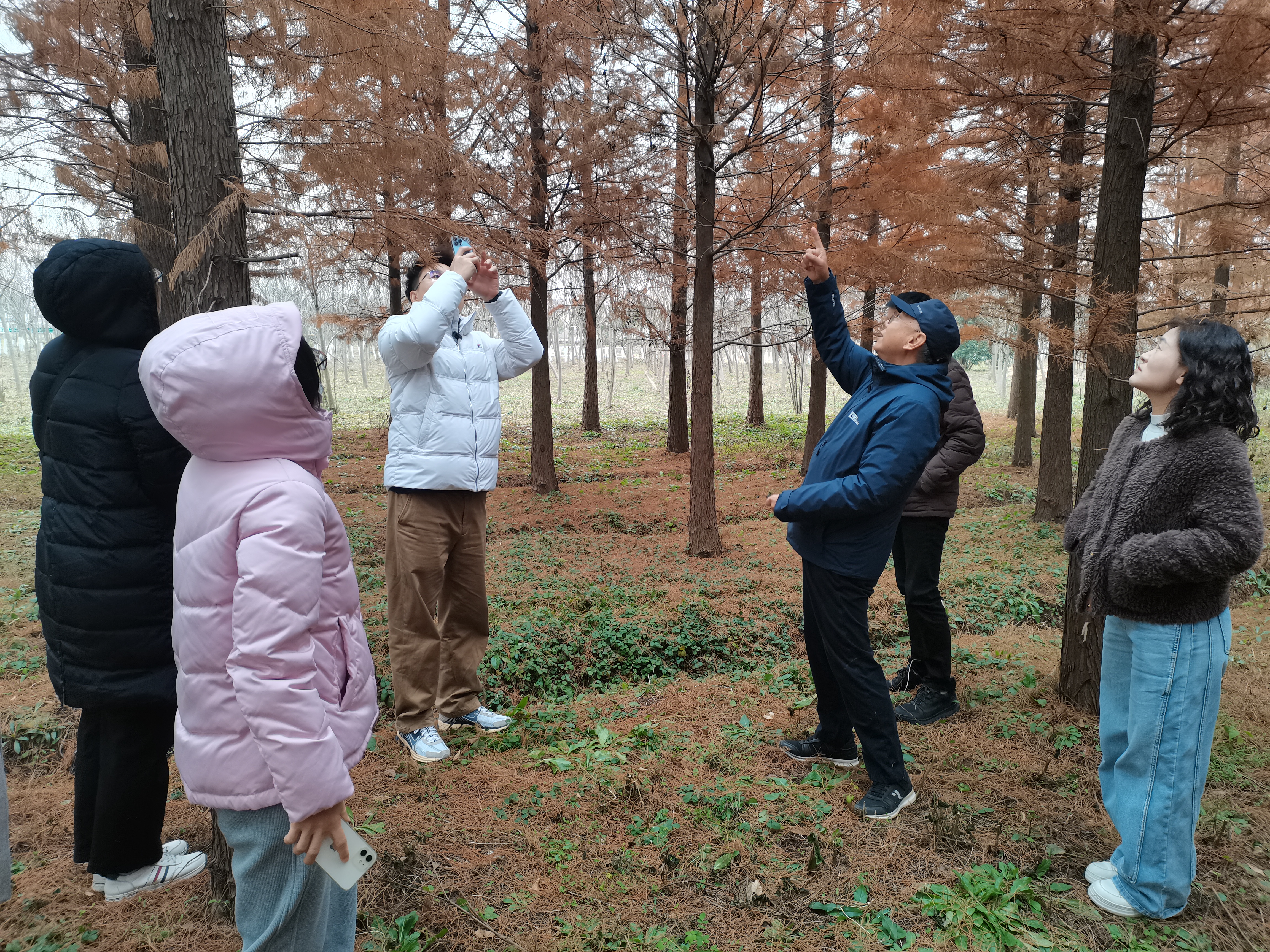 市林业总站携手专家 为上海森林质量提升精准施策3.jpg 市林业总站携手专家 为上海森林质量提升精准施策3.jpg