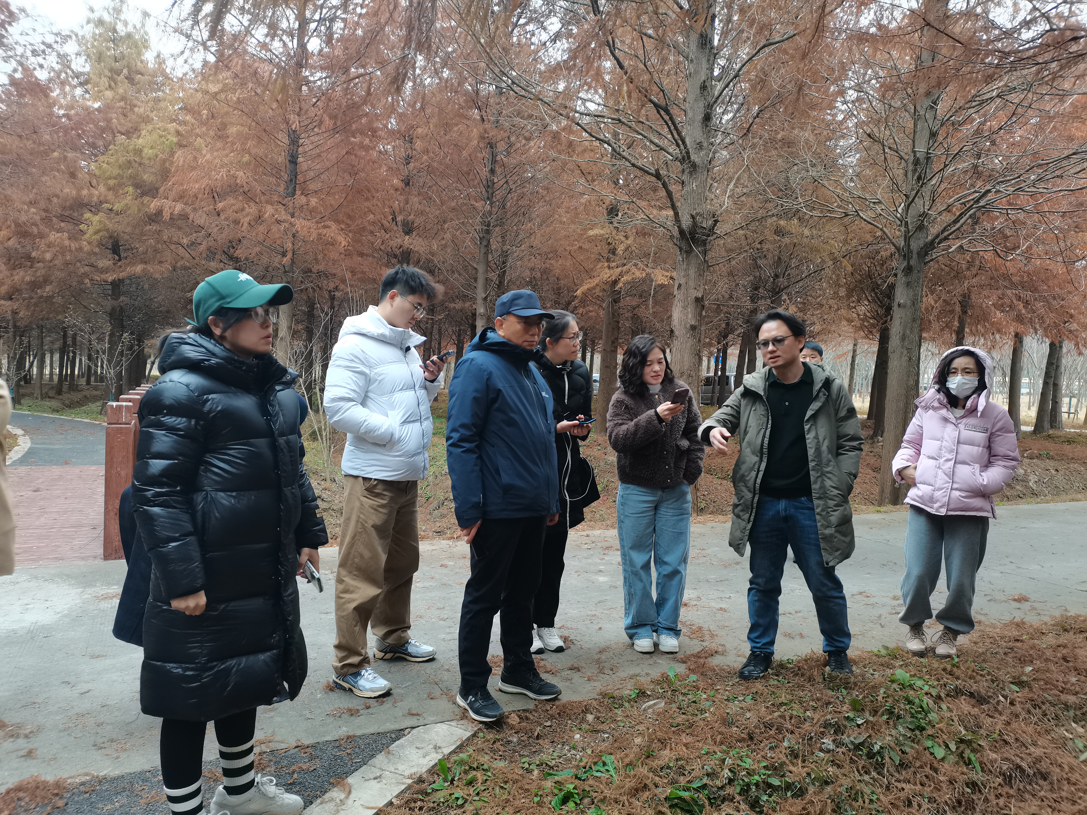 市林业总站携手专家 为上海森林质量提升精准施策4.jpg 市林业总站携手专家 为上海森林质量提升精准施策4.jpg