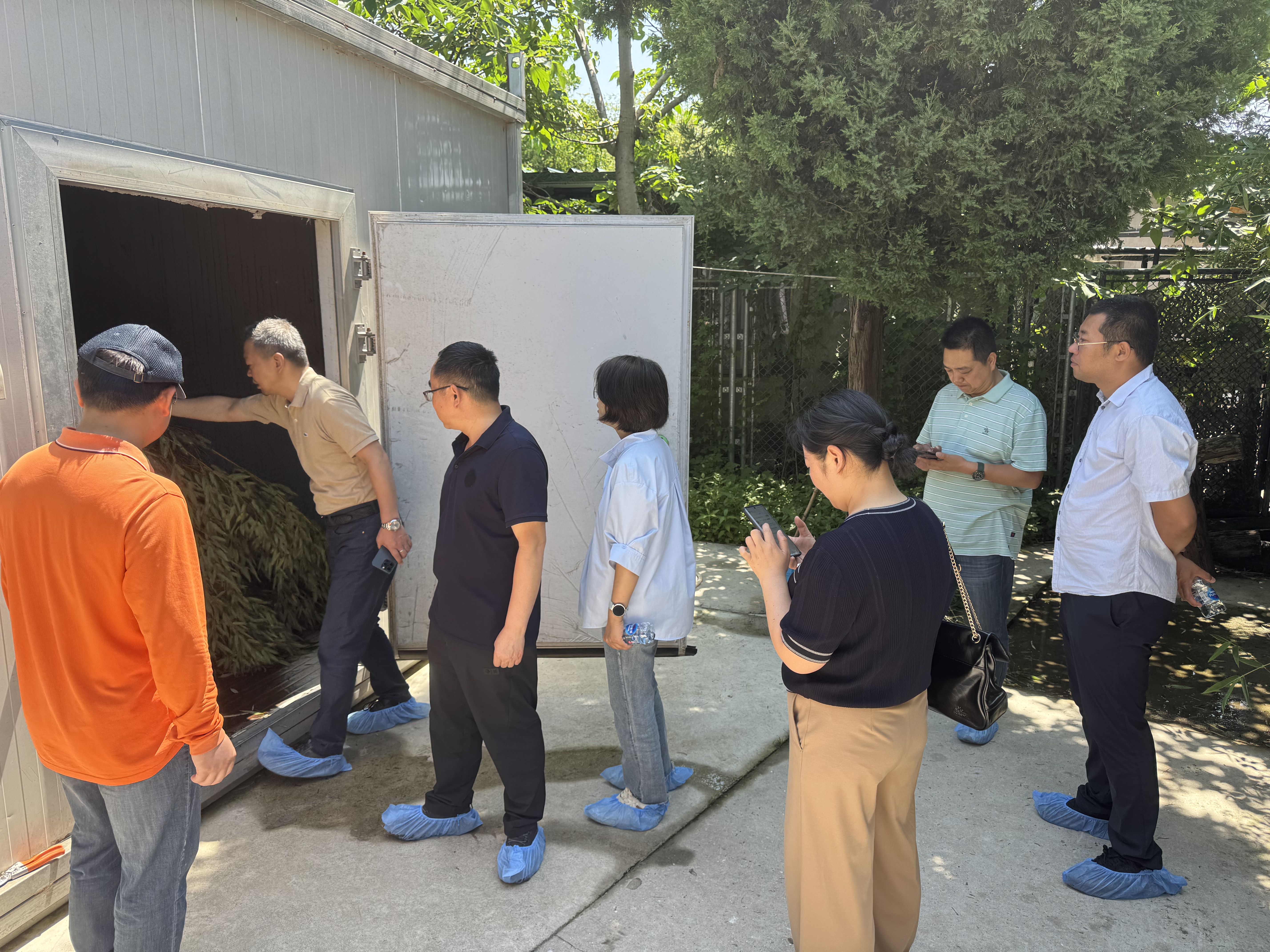 上海市林业总站赴上海野生动物园开展大熊猫专项检查评估工作3.jpg 上海市林业总站赴上海野生动物园开展大熊猫专项检查评估工作3.jpg
