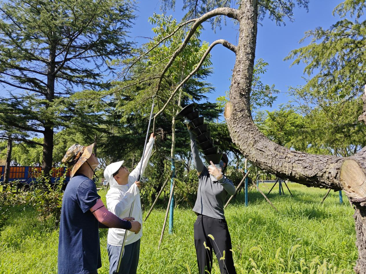 图片 1.png 图片 1.png