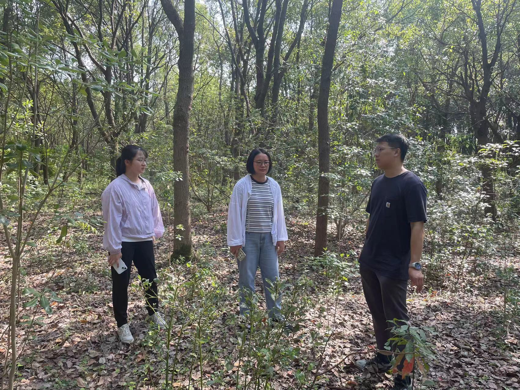 踏查林地定方案 养护指导促提升——城市人工林固碳增汇效能提升4.jpg